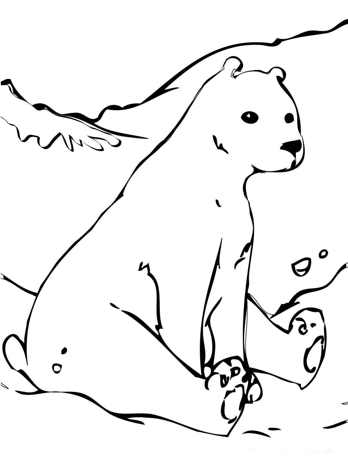 50 Brown Bear Coloring Page 6