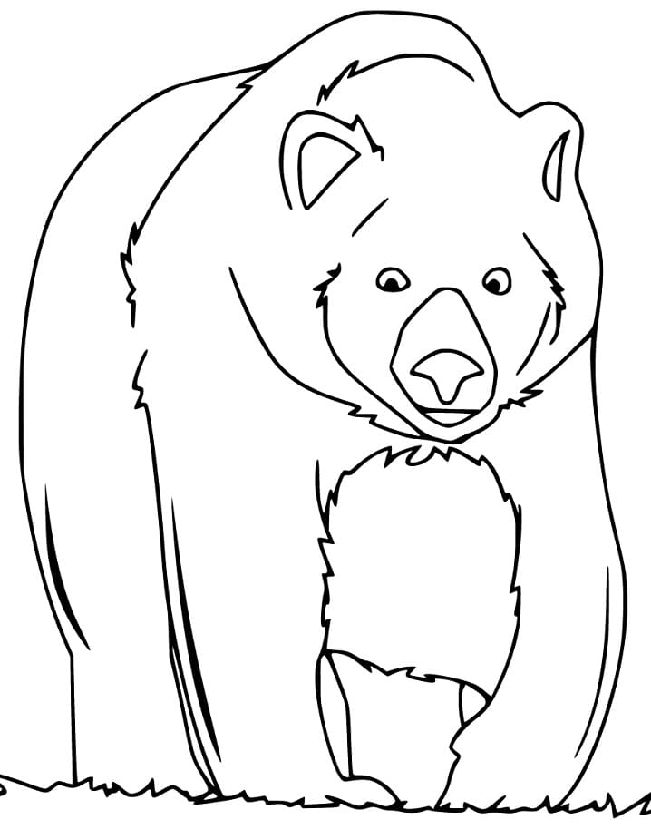 50 Brown Bear Coloring Page 7