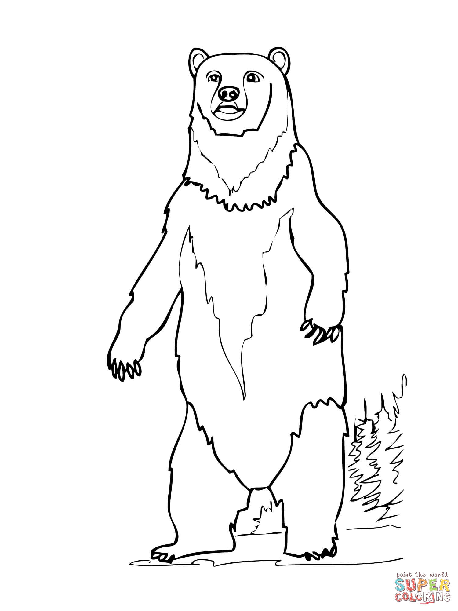 50 Brown Bear Coloring Page 9