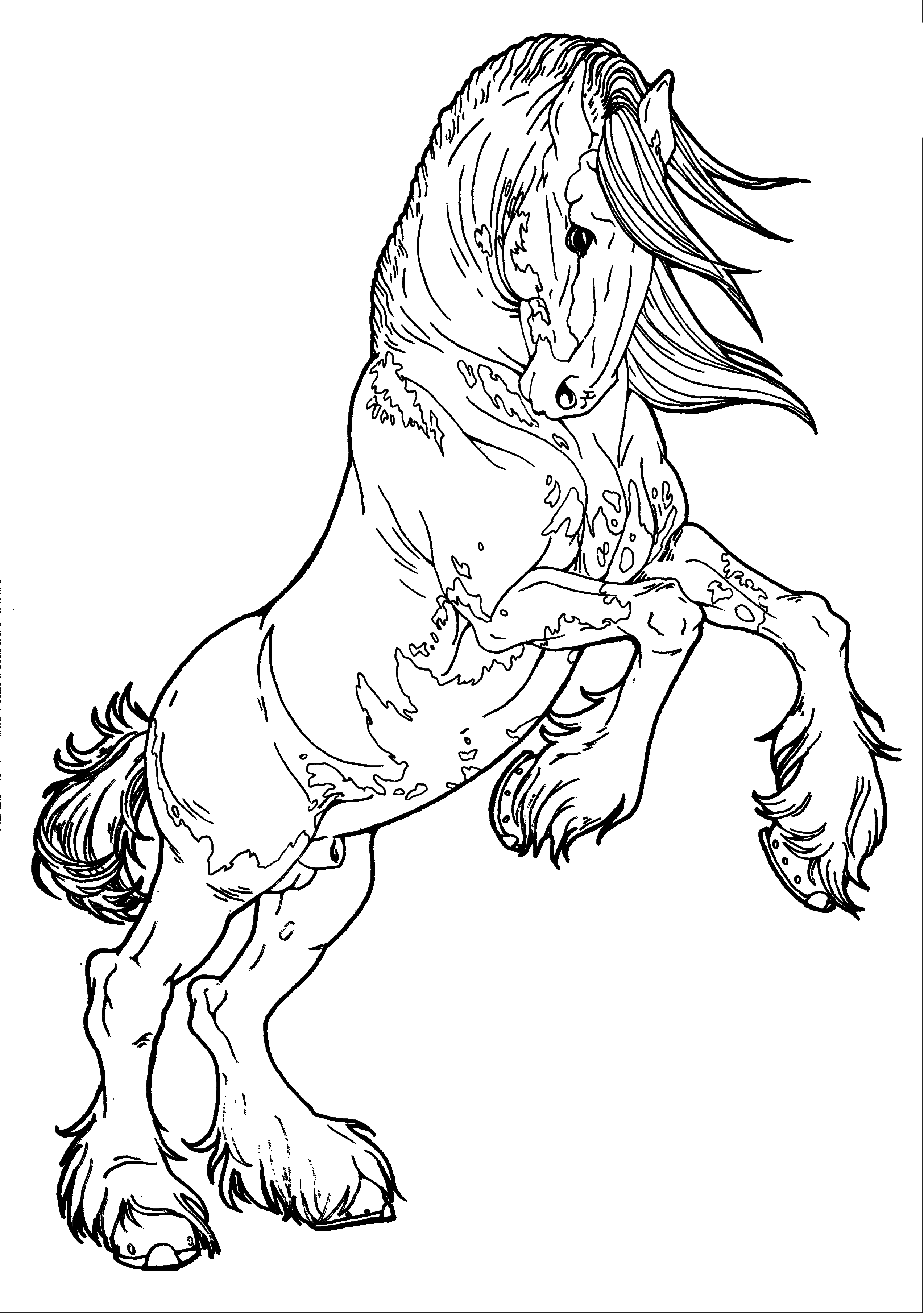 50 Horses Coloring Sheets 14