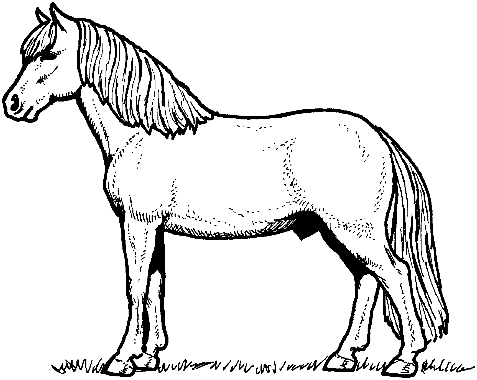 50 Horses Coloring Sheets 43