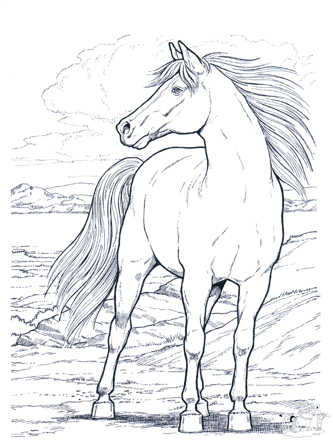 50 Horses Coloring Sheets 45