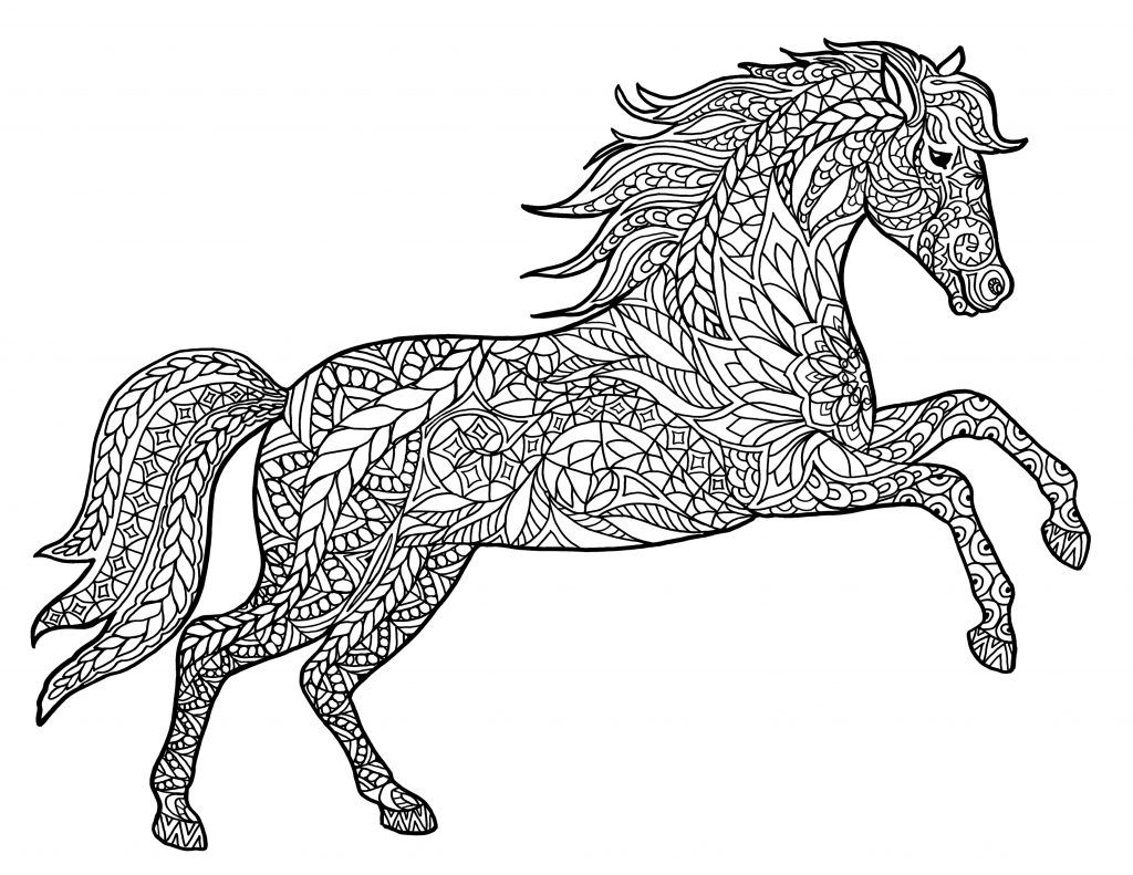 50 Horses Coloring Sheets 46