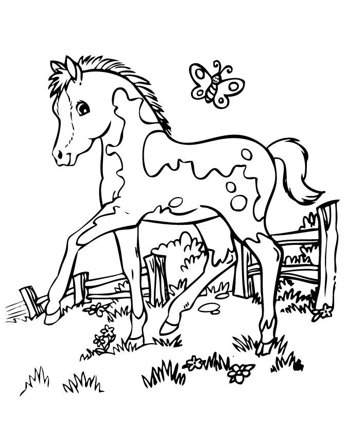 50 Horses Coloring Sheets 48