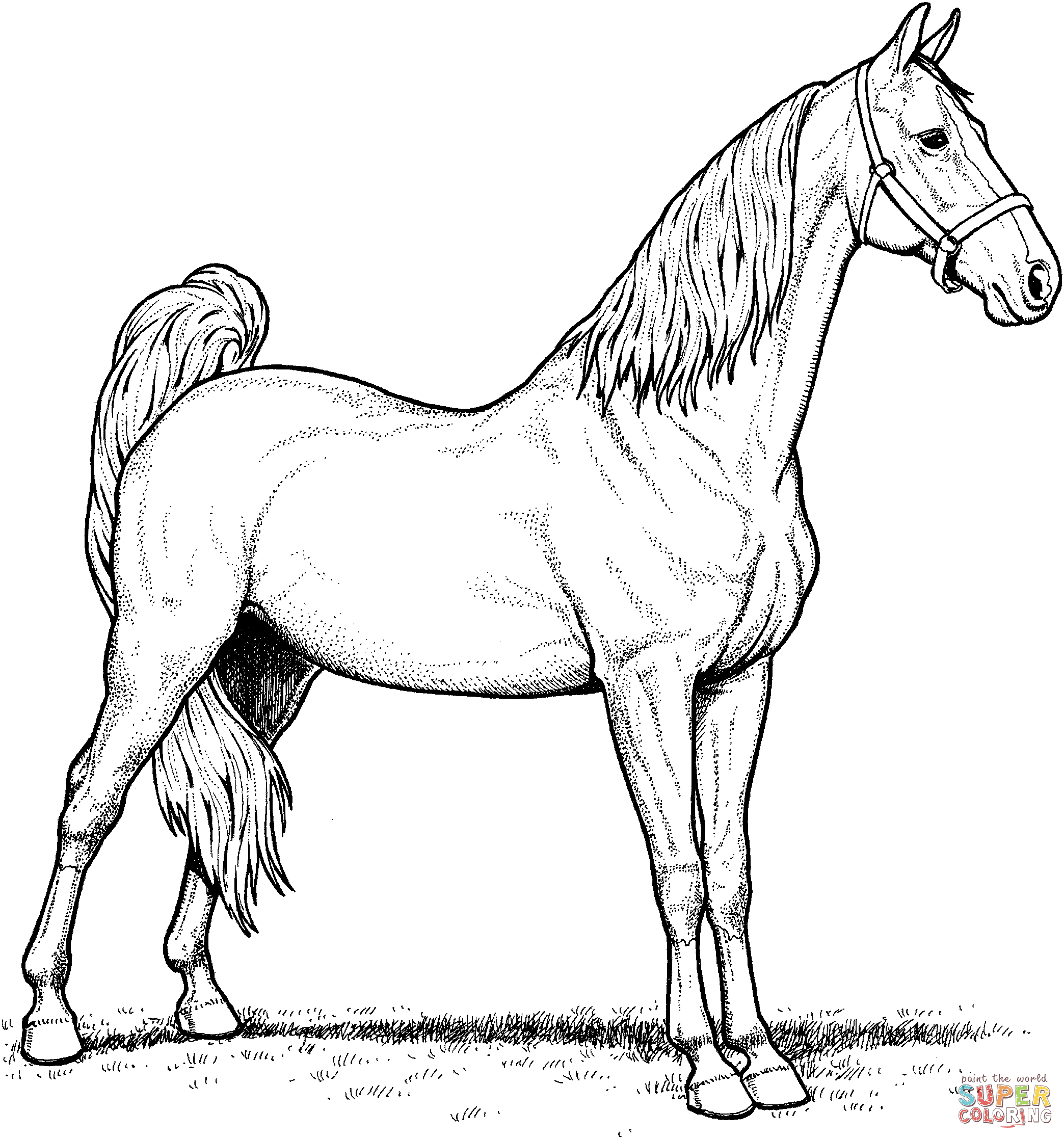 50 Horses Coloring Sheets 9