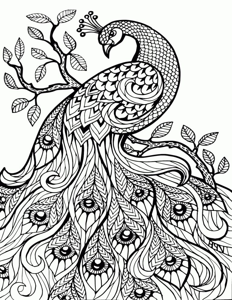 50 Peacock Coloring Sheet 29