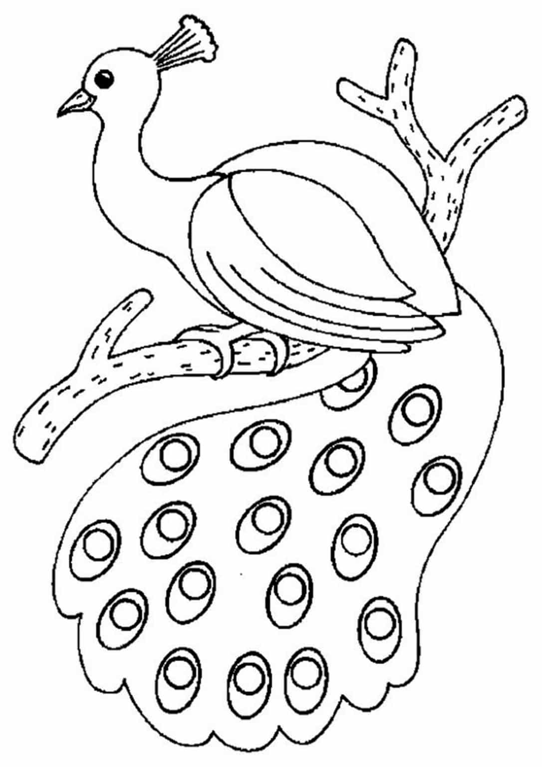 50 Peacock Coloring Sheet 31