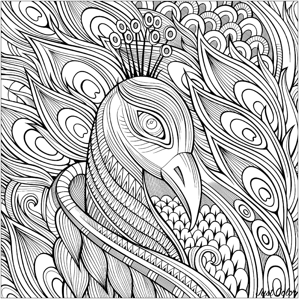 50 Peacock Coloring Sheet 37