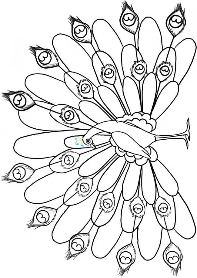 50 Peacock Coloring Sheet 39