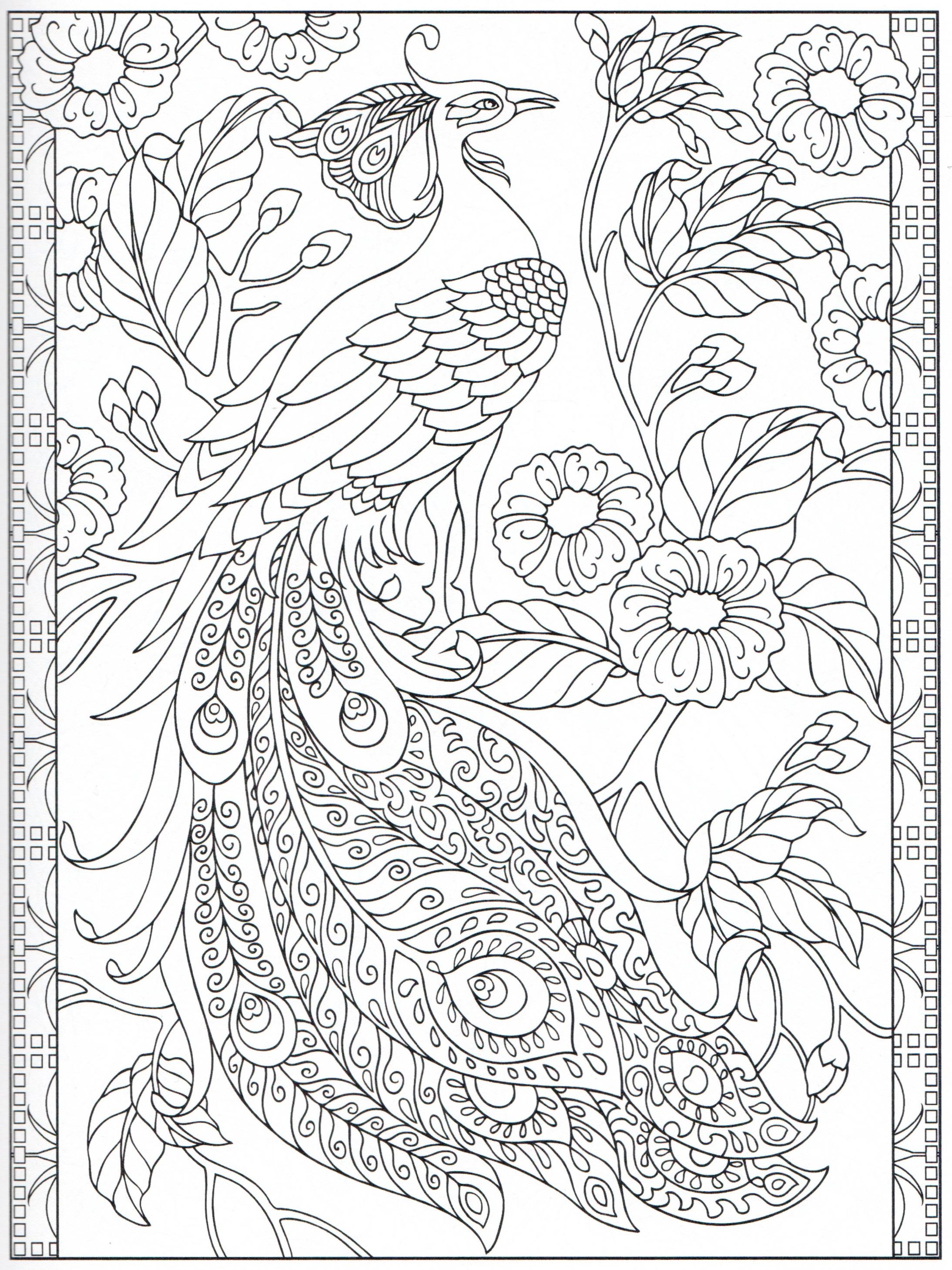 50 Peacock Coloring Sheet 42