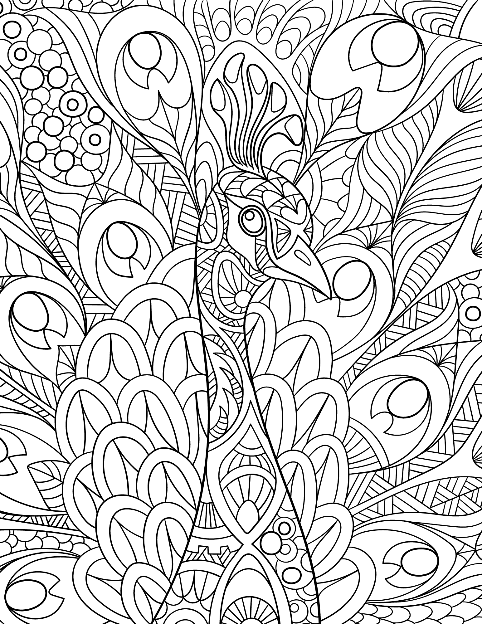 50 Peacock Coloring Sheet 53