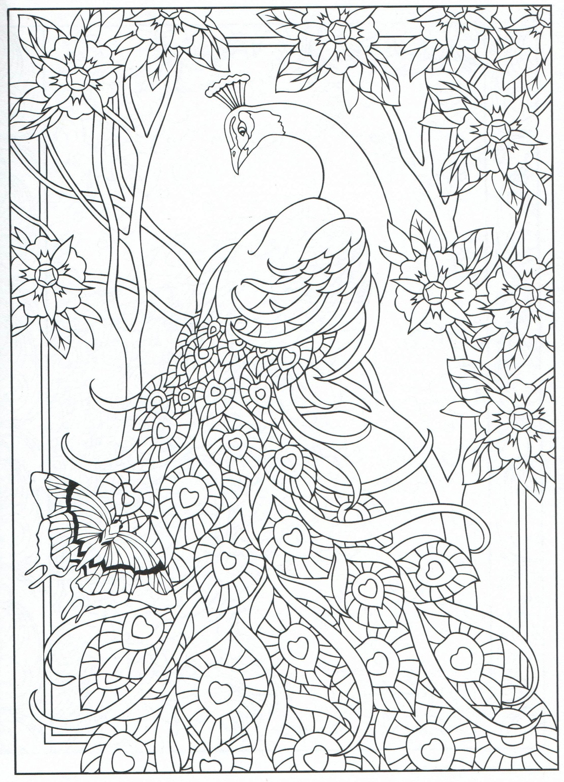 50 Peacock Coloring Sheet 55