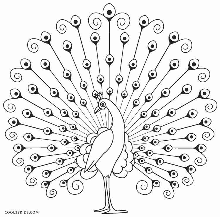 50 Peacock Coloring Sheet 56