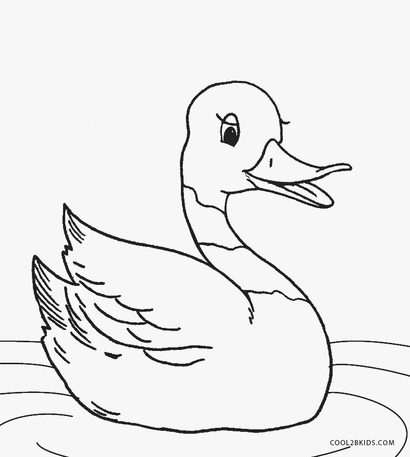 50 Printable Duck Coloring Pages 11