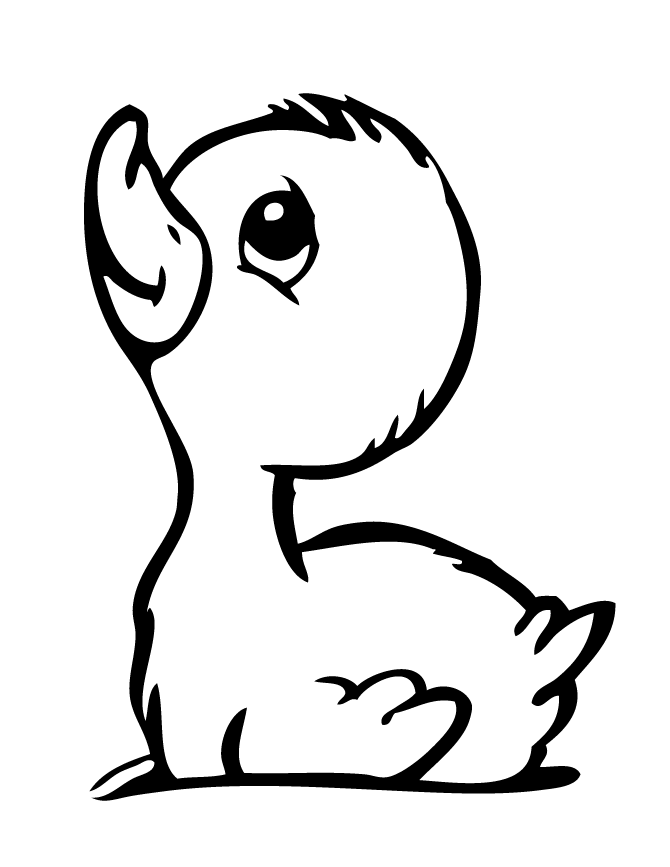 50 Printable Duck Coloring Pages 13