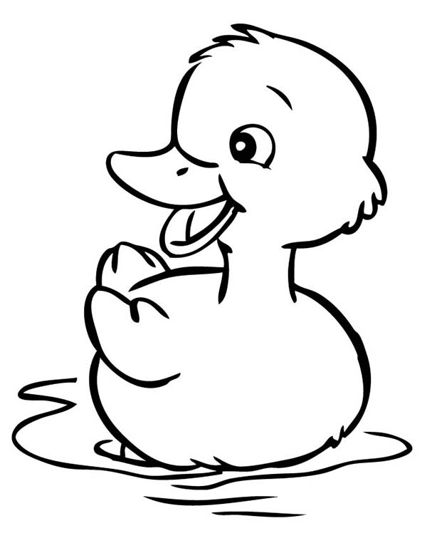 50 Printable Duck Coloring Pages 36