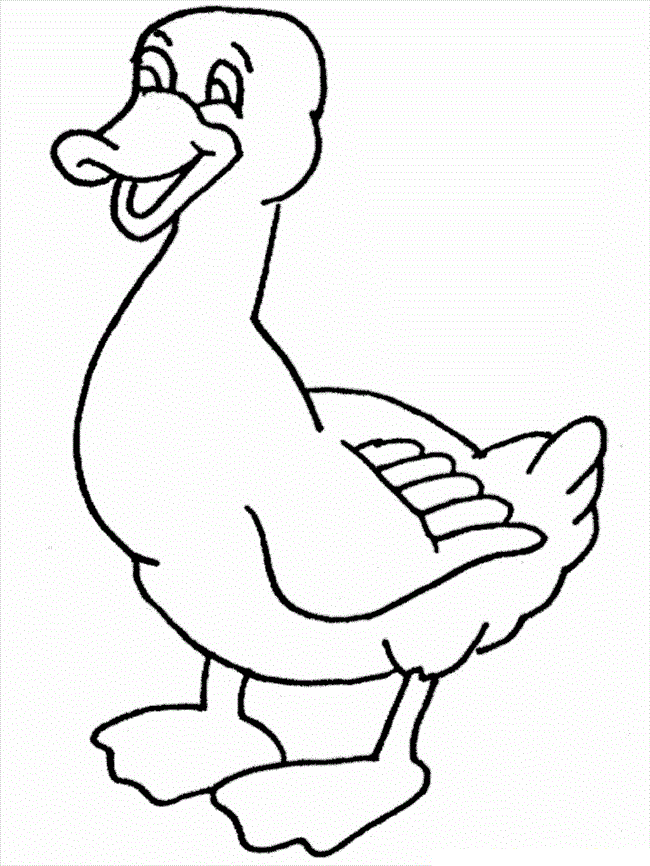 50 Printable Duck Coloring Pages 41