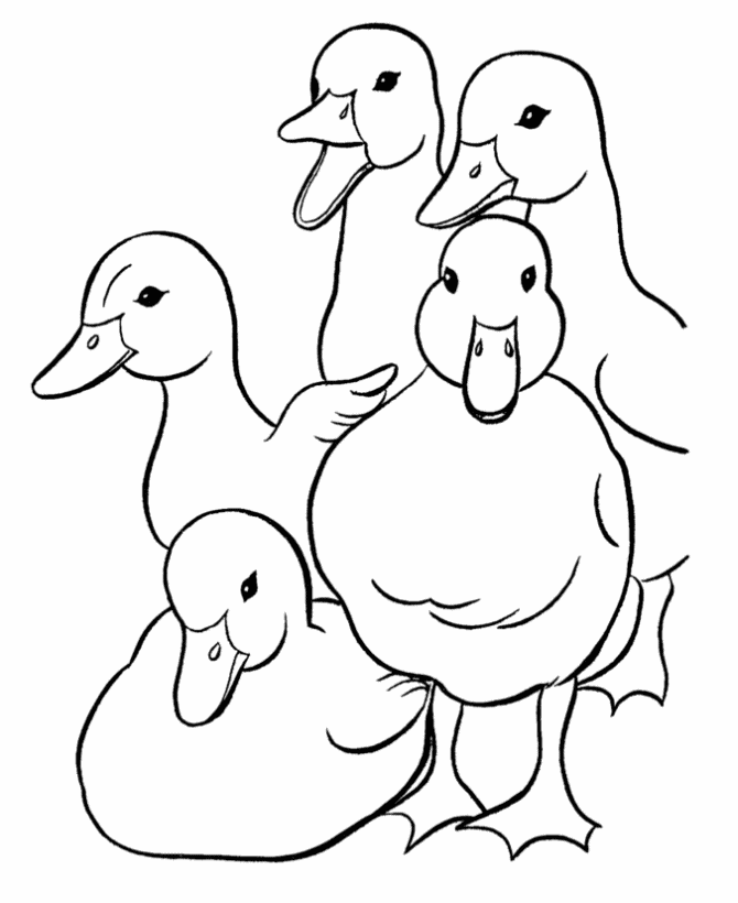 50 Printable Duck Coloring Pages 42