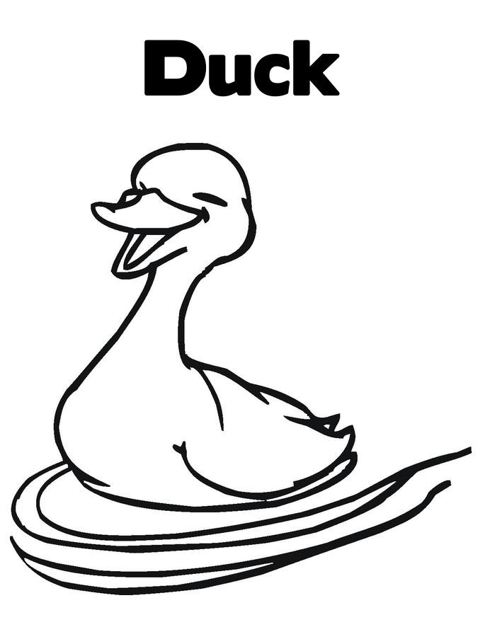 50 Printable Duck Coloring Pages 57