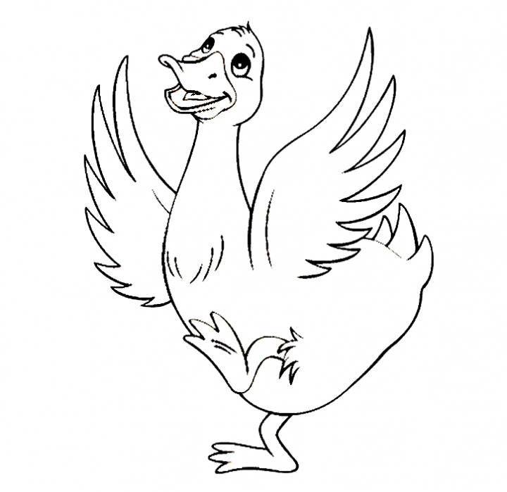 50 Printable Duck Coloring Pages 58