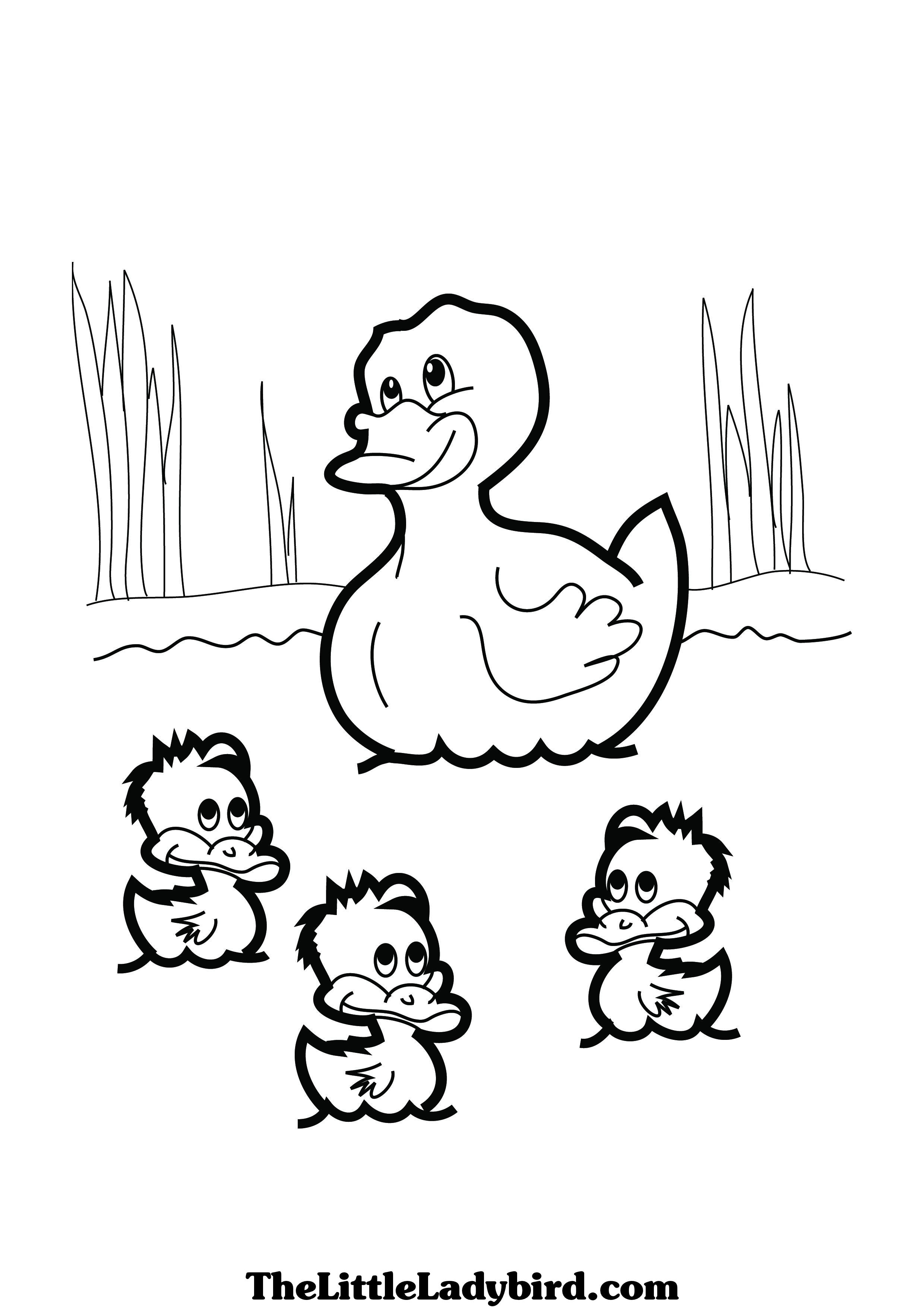 50 Printable Duck Coloring Pages 6