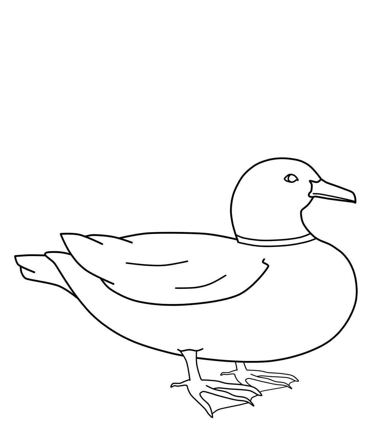 50 Printable Duck Coloring Pages 8