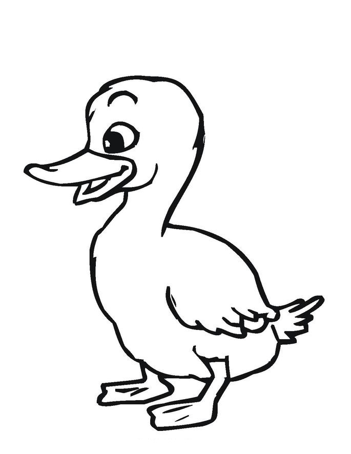 50 Printable Duck Coloring Pages 9