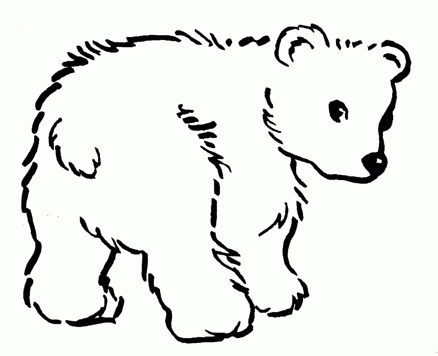 55 Bear Coloring Sheets 15