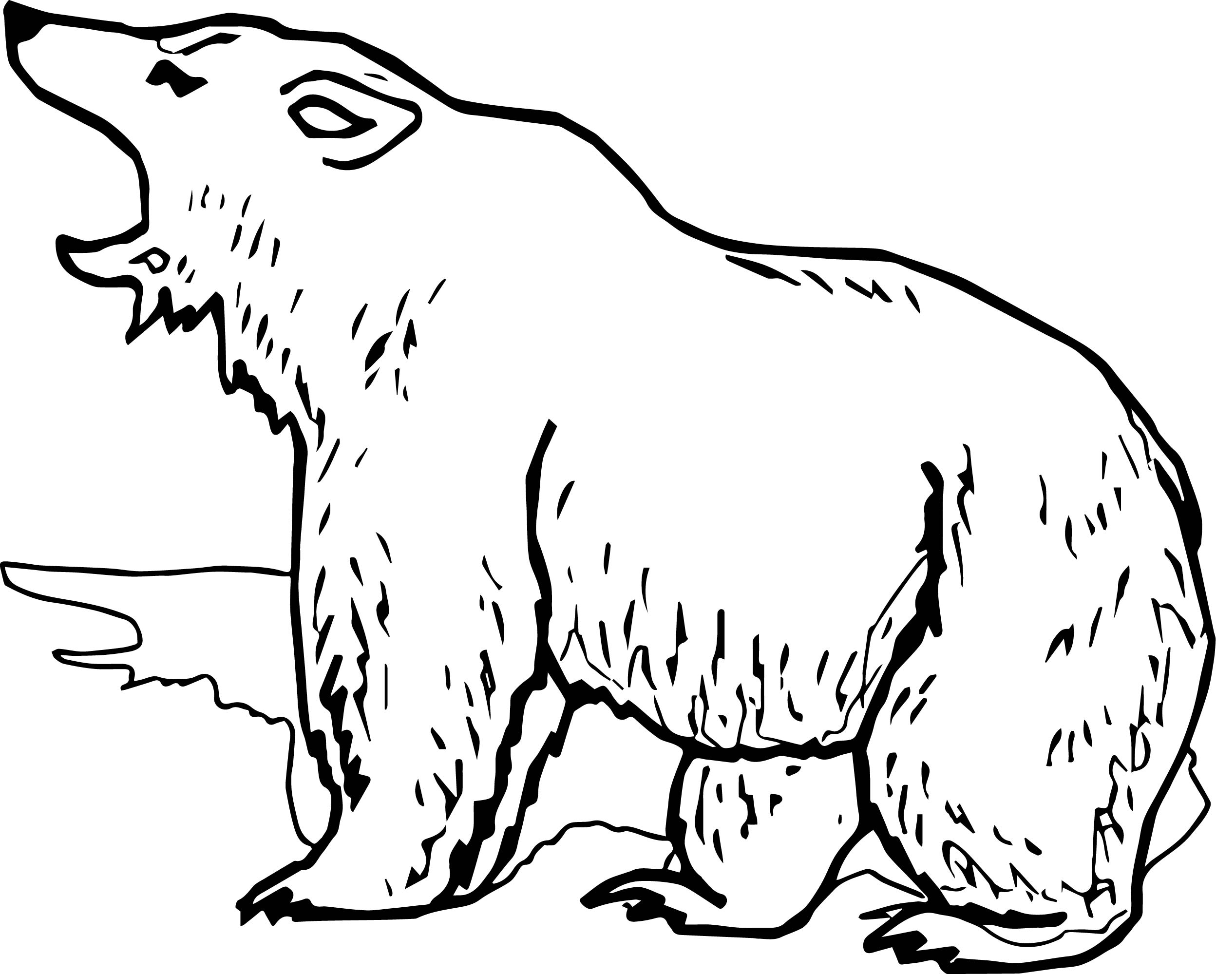 55 Bear Coloring Sheets 18