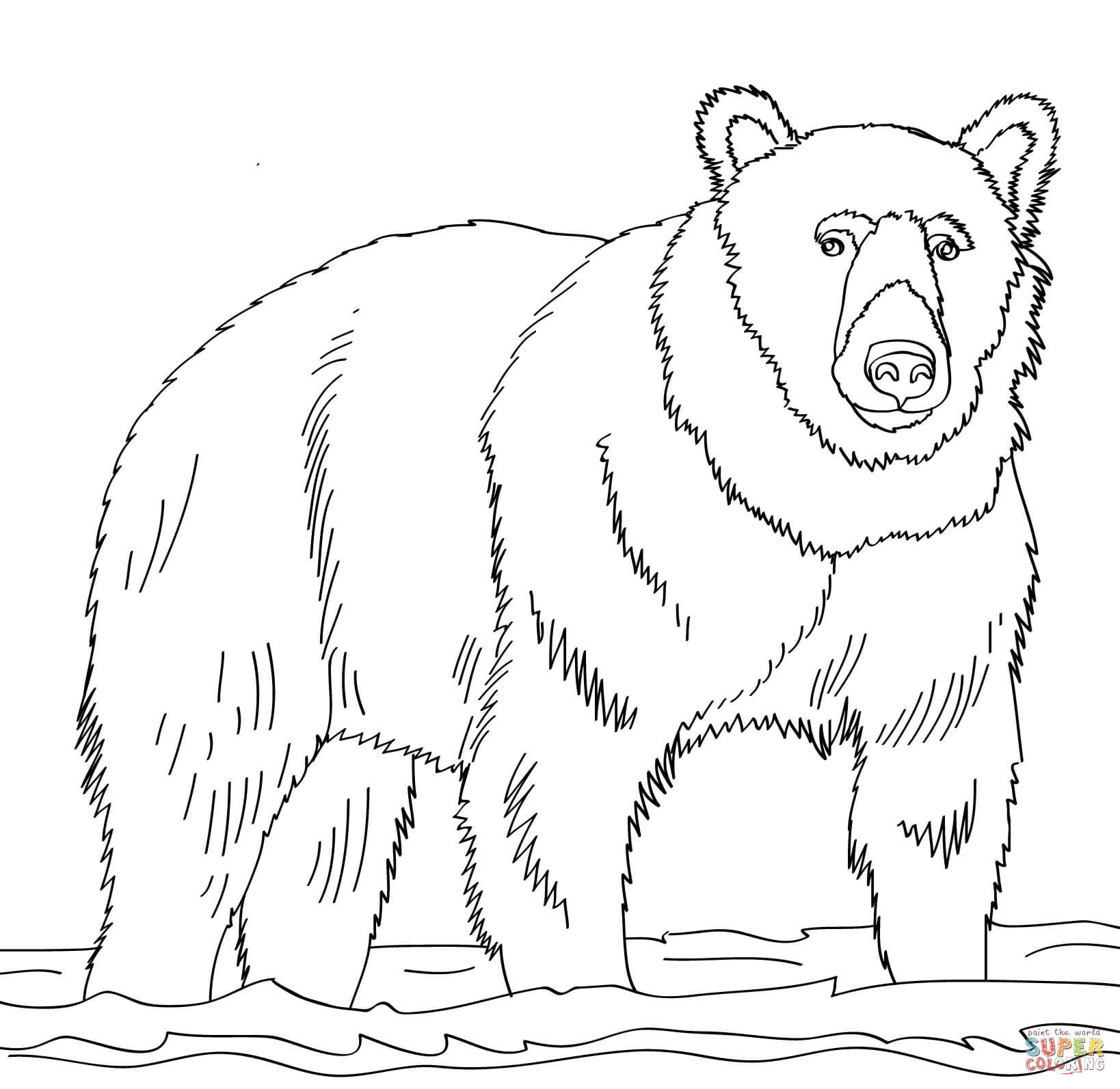 55 Bear Coloring Sheets 23