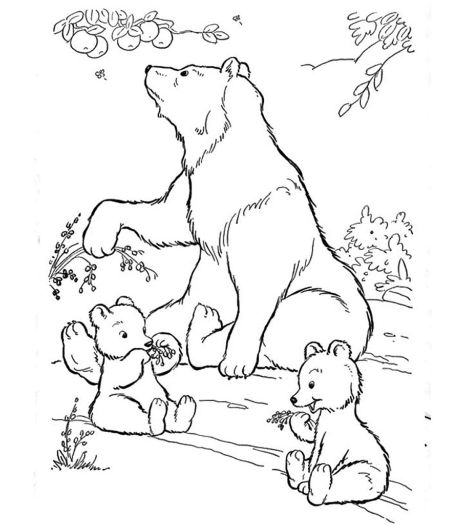 55 Bear Coloring Sheets 25