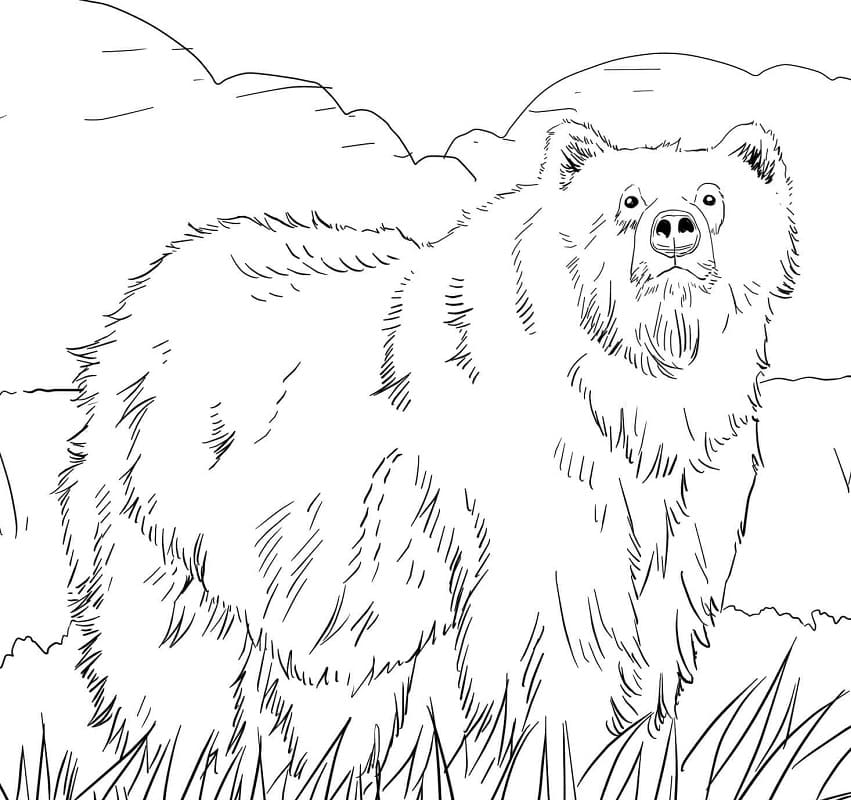 55 Bear Coloring Sheets 4