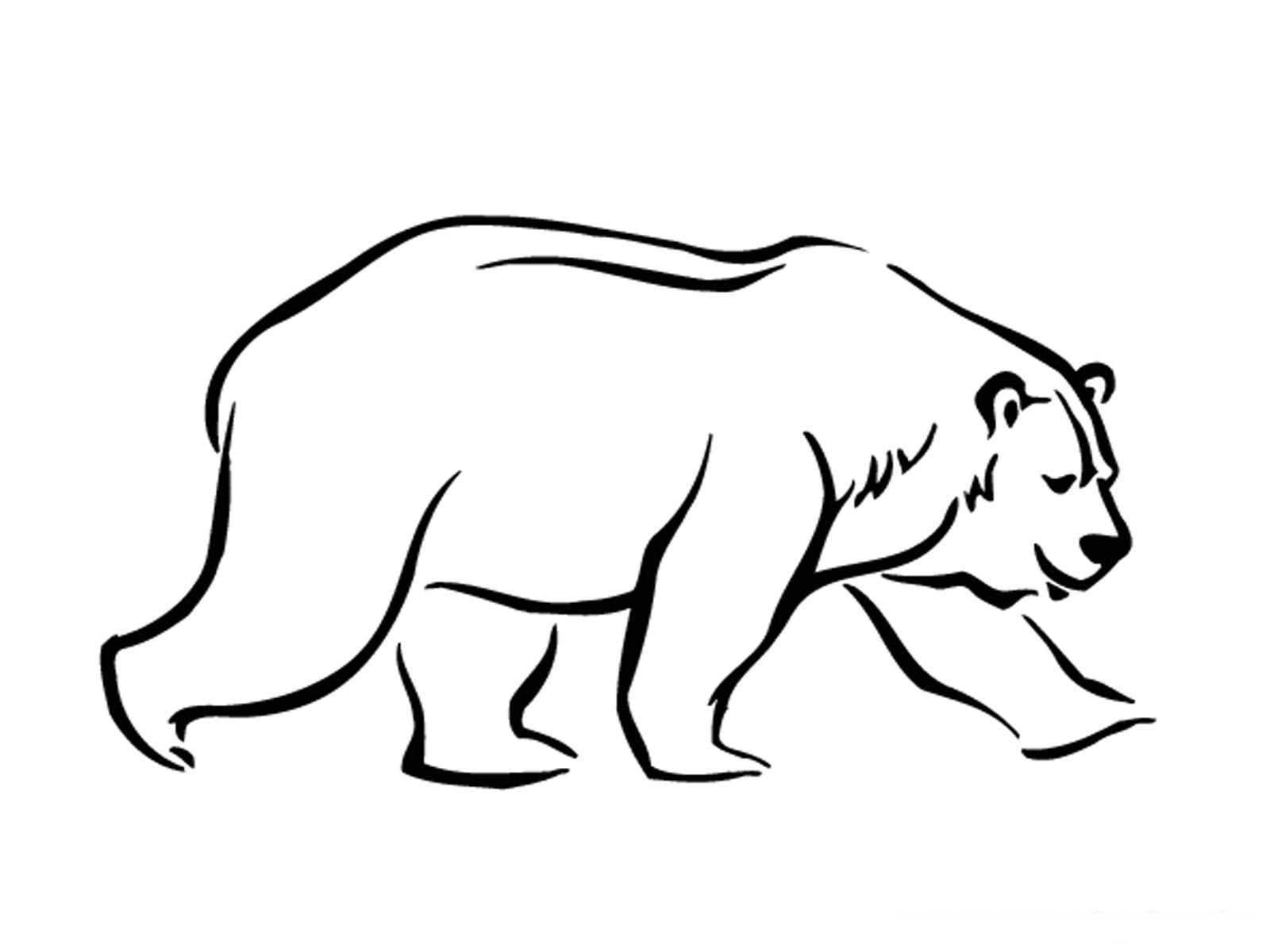 55 Bear Coloring Sheets 52