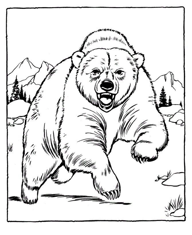 55 Bear Coloring Sheets 55