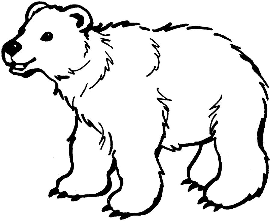 55 Bear Coloring Sheets 6