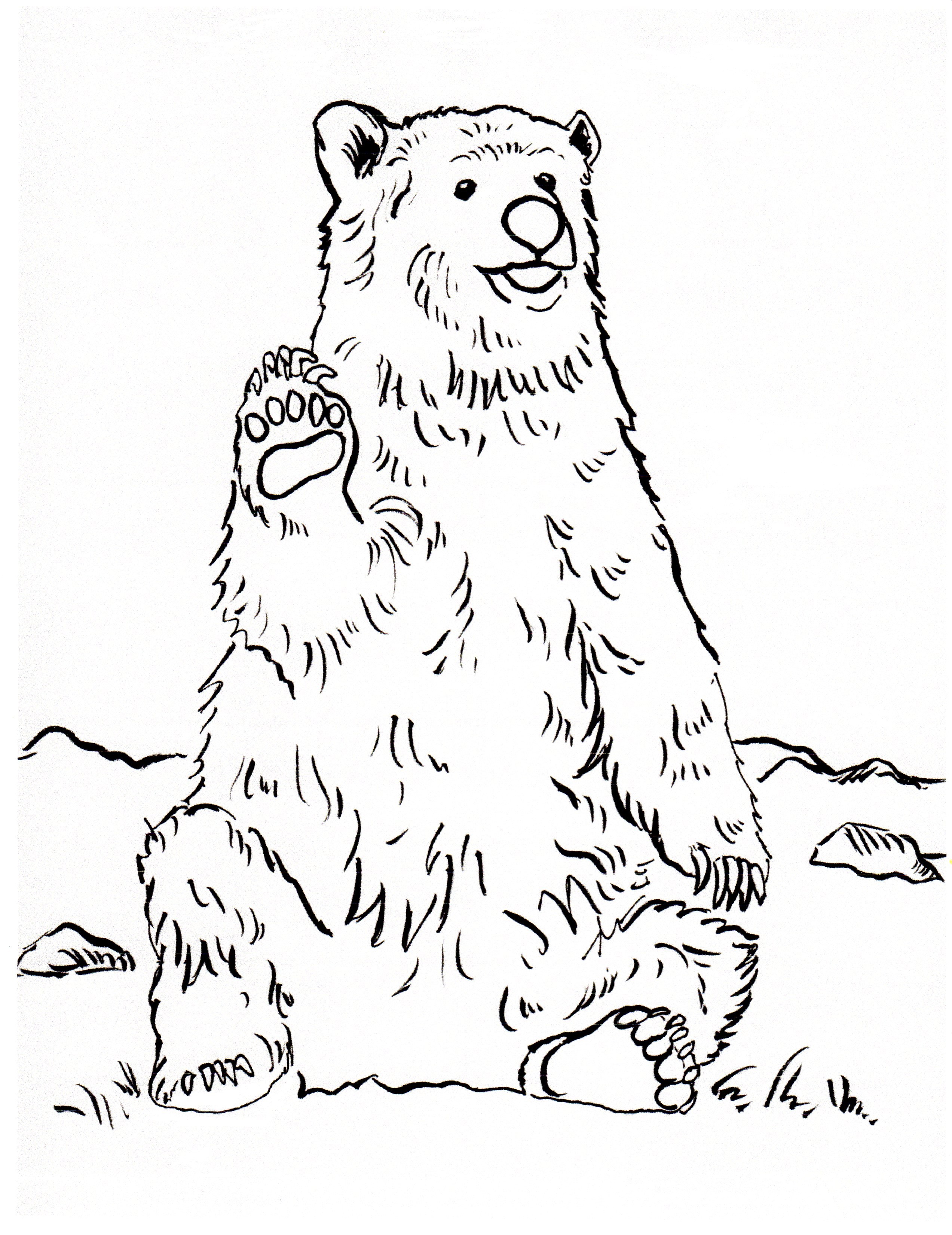 55 Bear Coloring Sheets 7