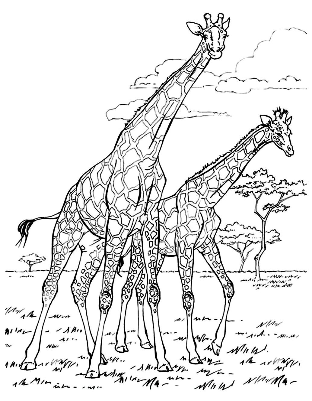 55 Coloring Pages Of African Animals 26