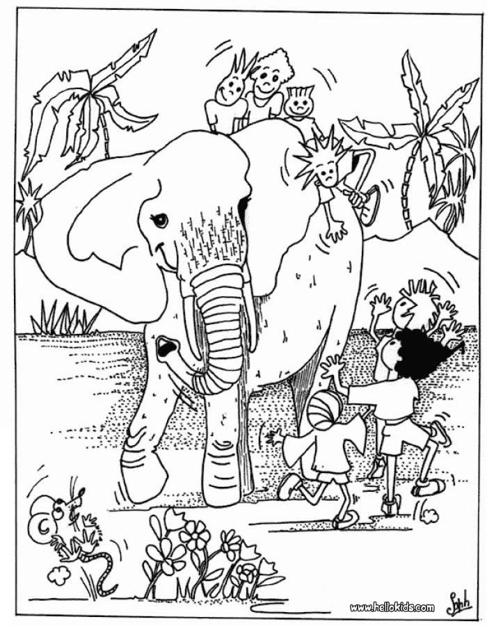 55 Coloring Pages Of African Animals 33