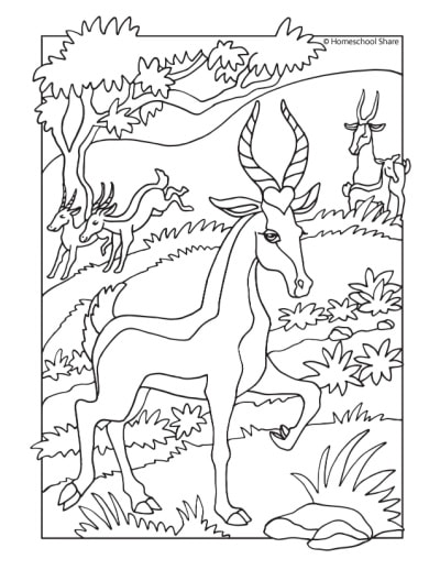 55 Coloring Pages Of African Animals 35