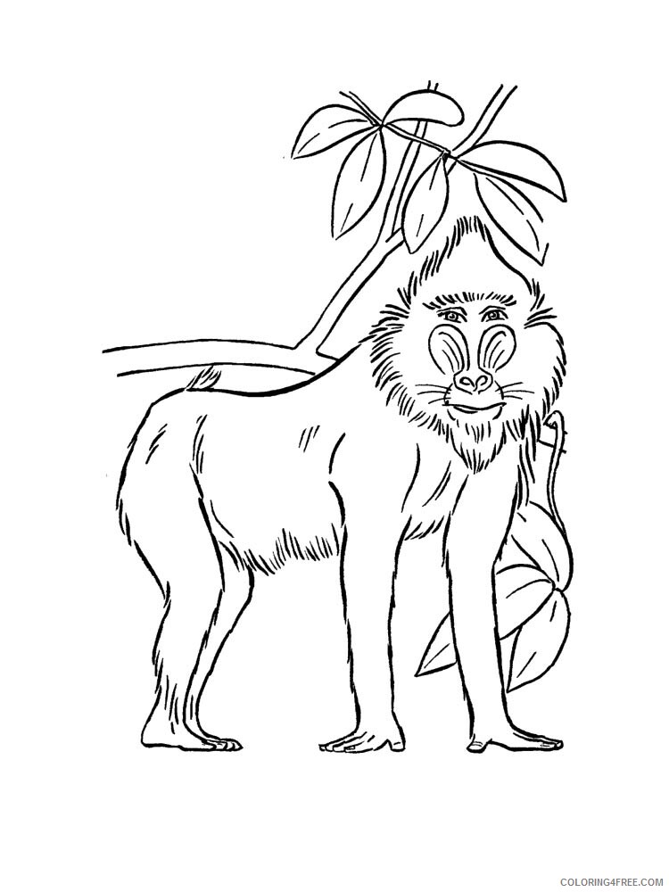 55 Coloring Pages Of African Animals 36