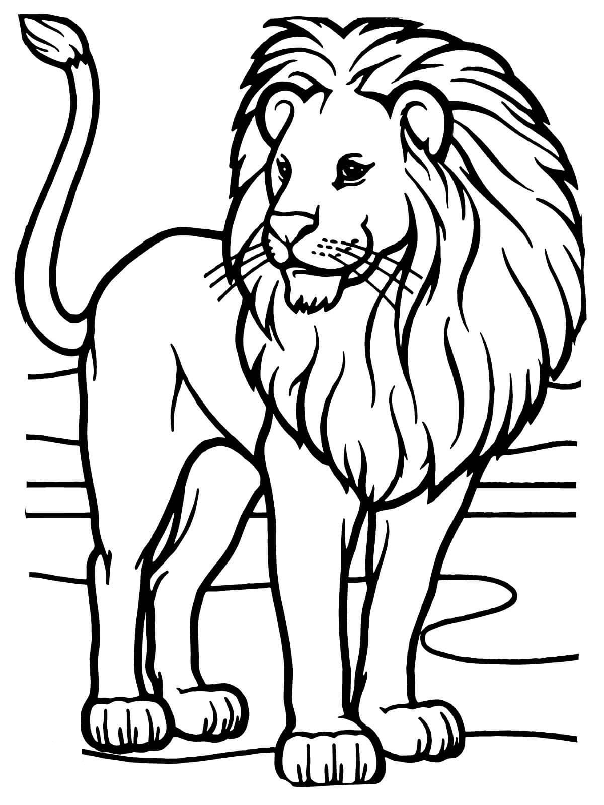 55 Coloring Pages Of African Animals 39