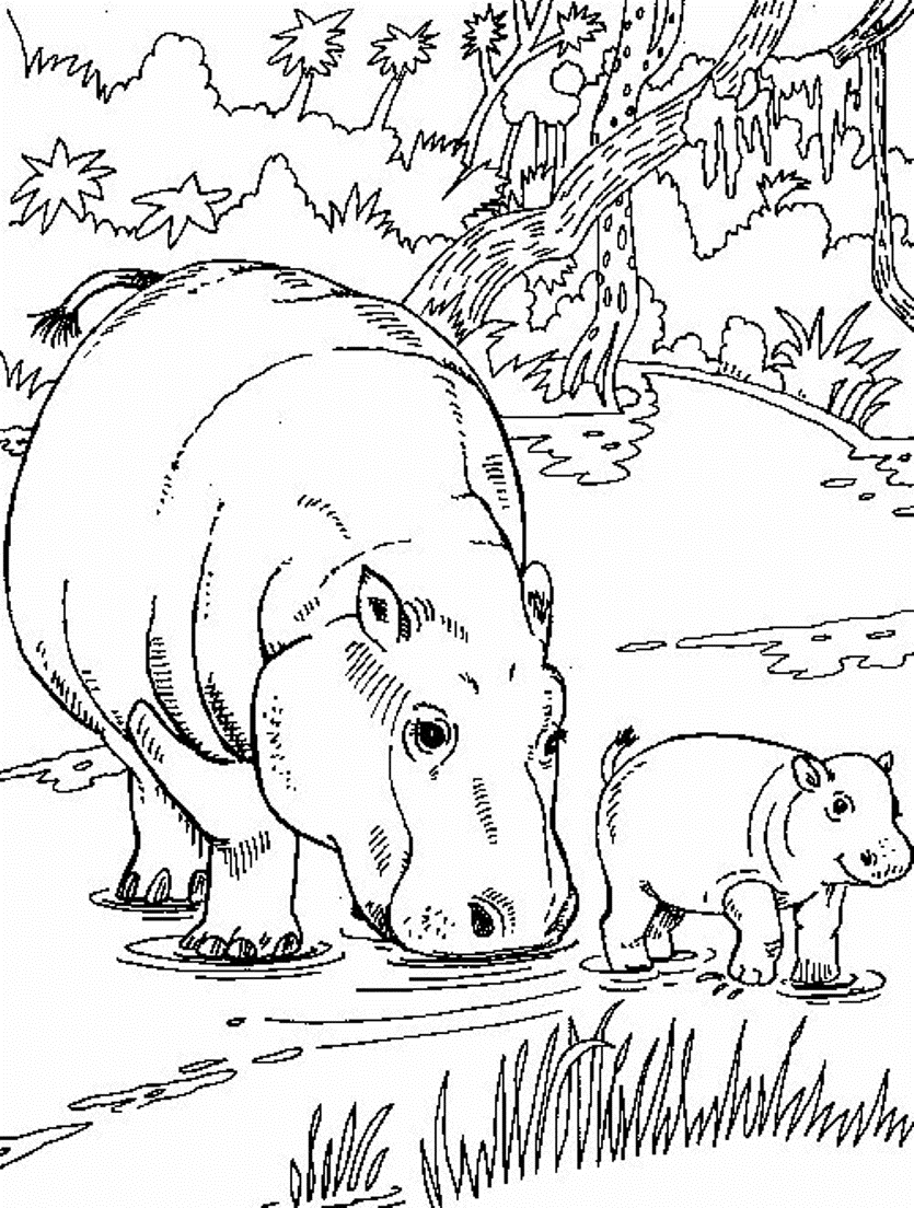 55 Coloring Pages Of African Animals 40