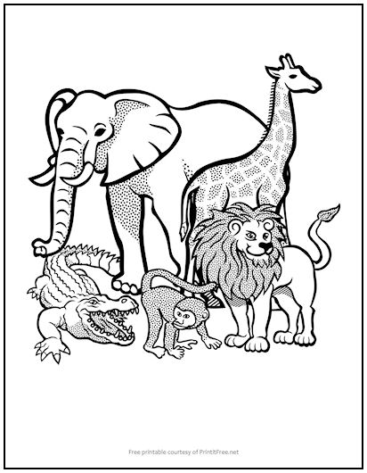 55 Coloring Pages Of African Animals 46