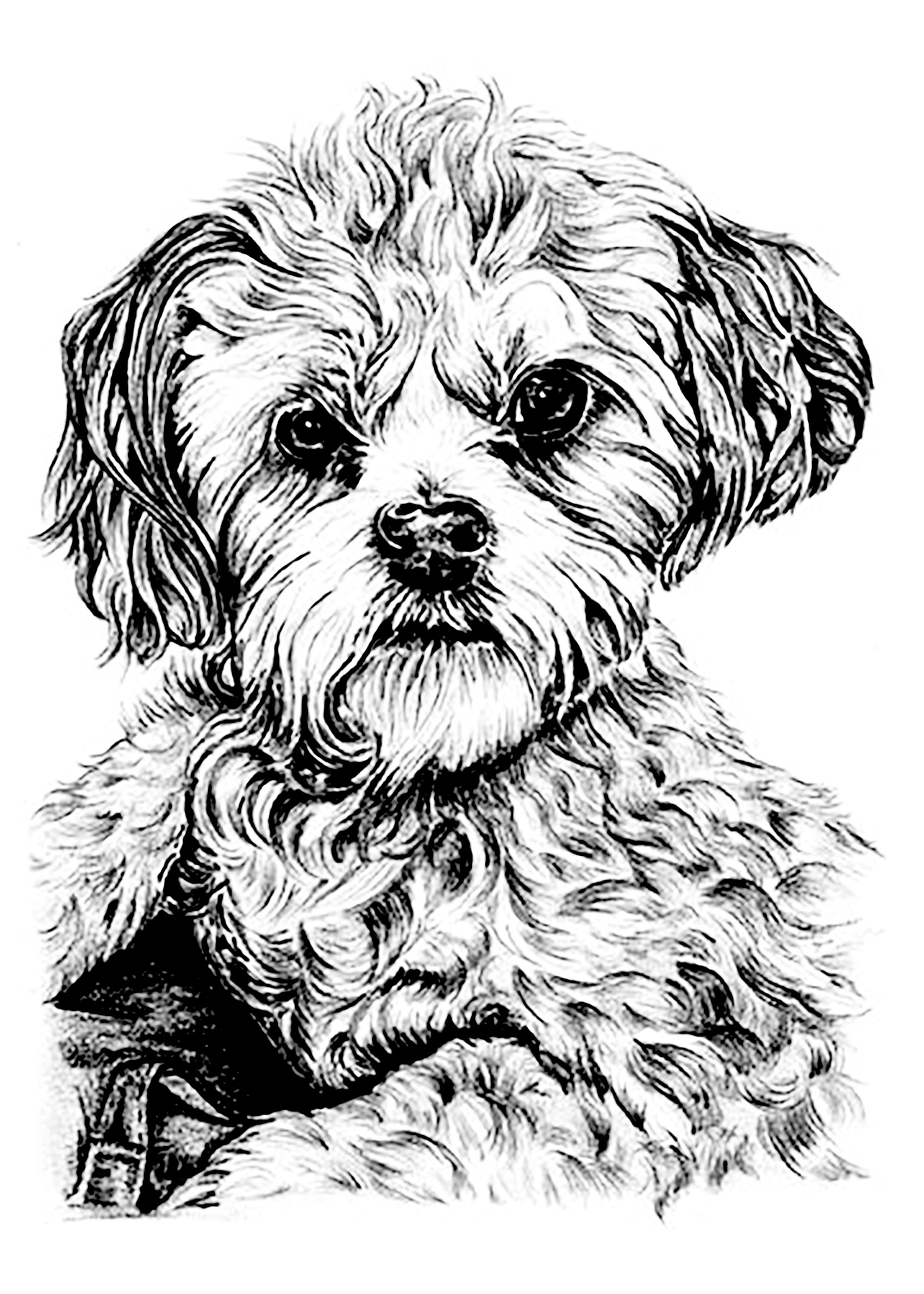 55 Dog Adult Coloring Pages 43