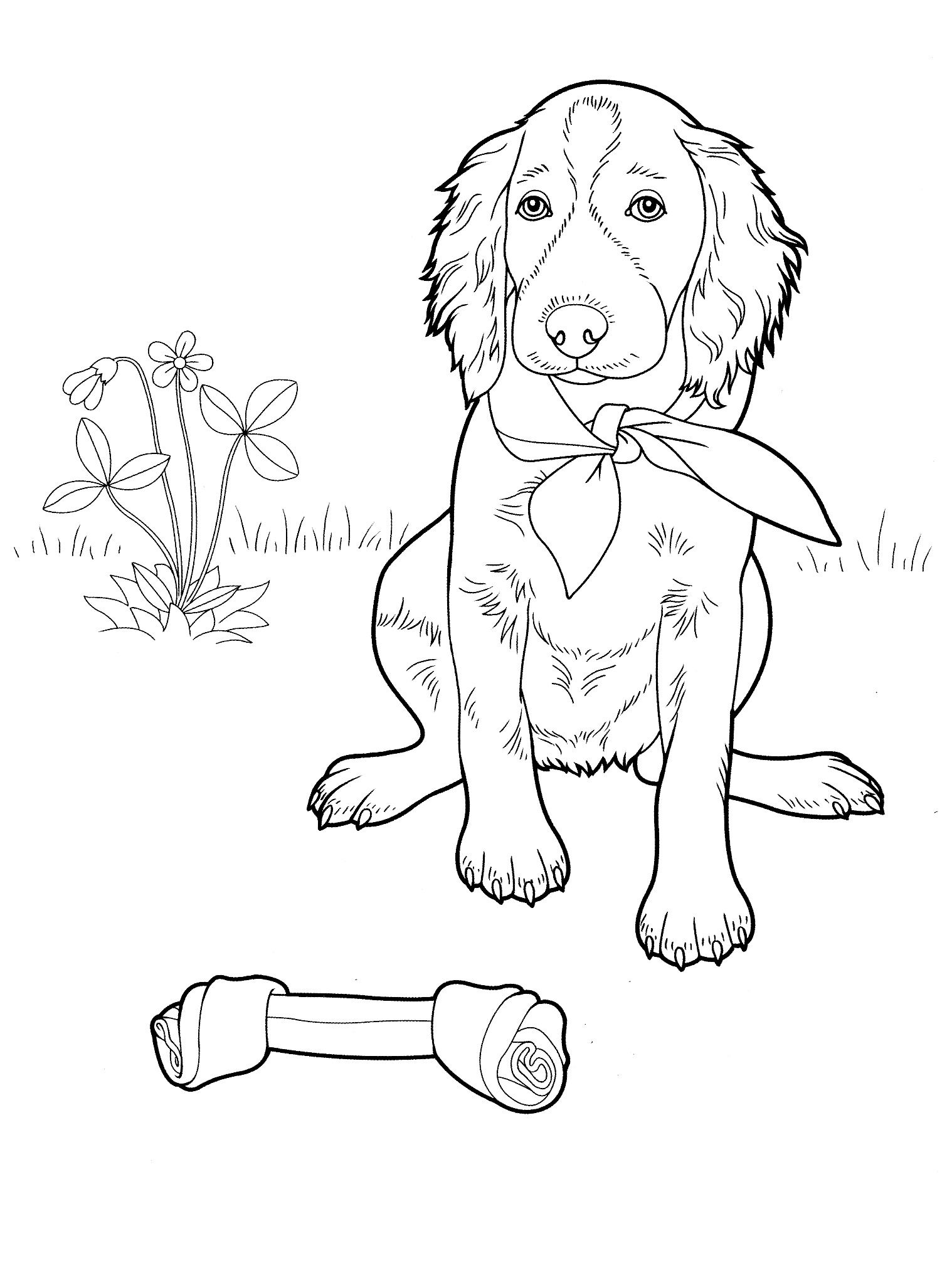 55 Dog Adult Coloring Pages 67