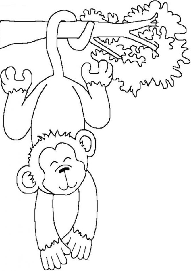 55 Monkey Coloring Pages Printable 29