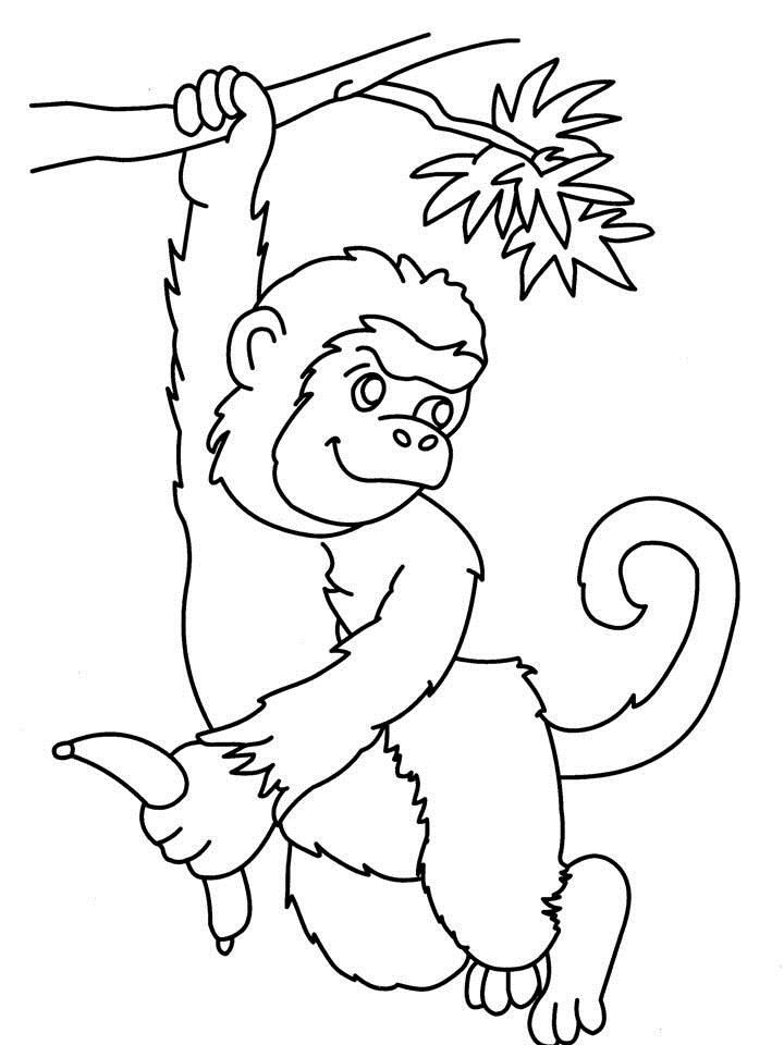 55 Monkey Coloring Pages Printable 35