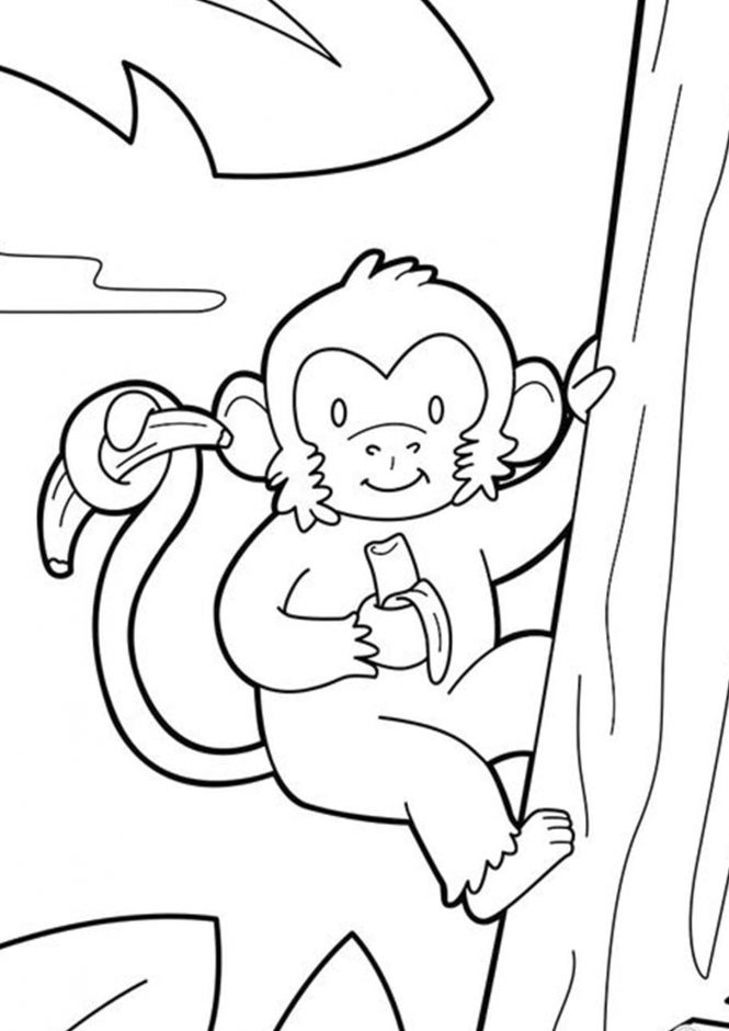 55 Monkey Coloring Pages Printable 36