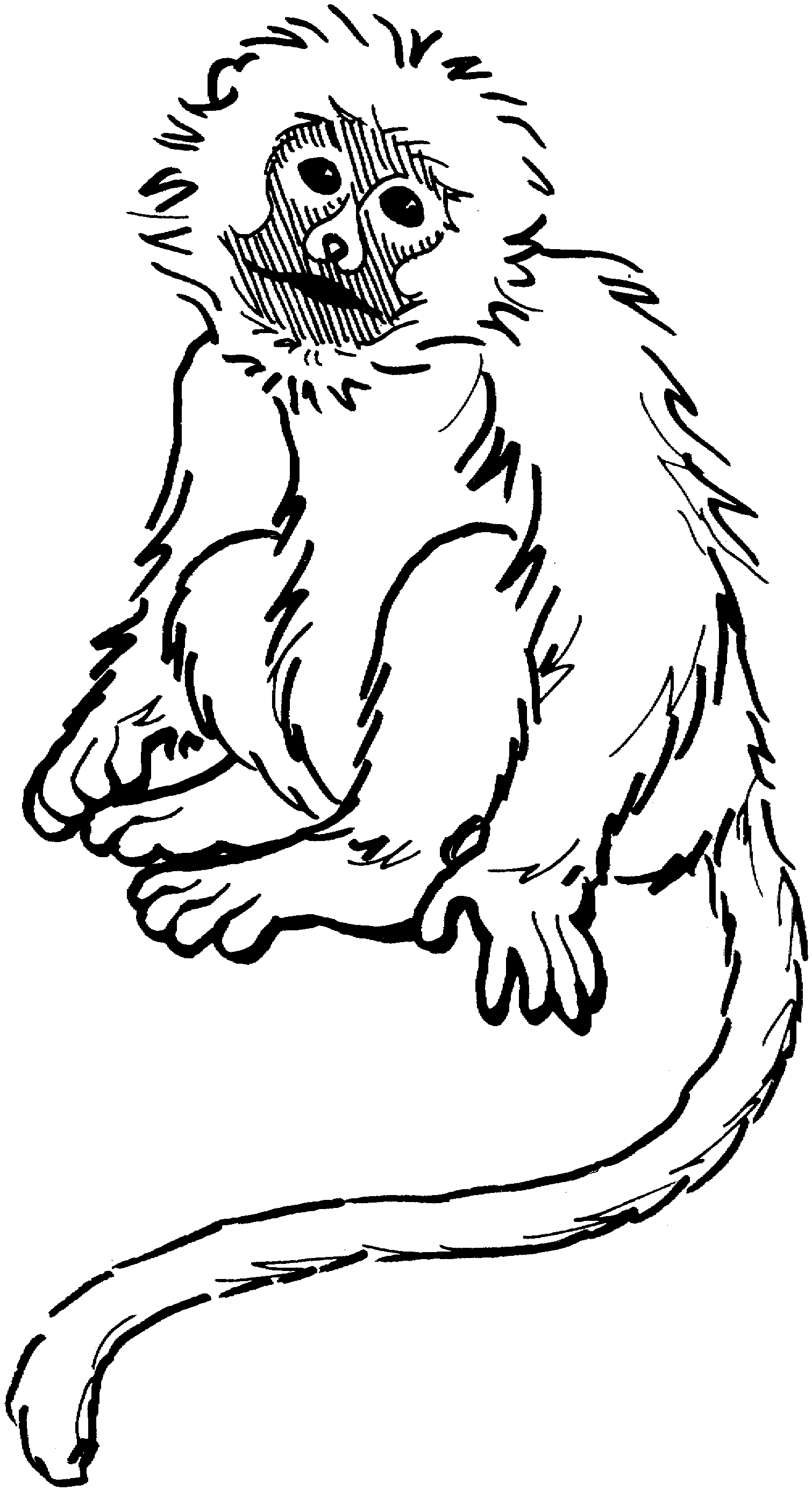 55 Monkey Coloring Pages Printable 40