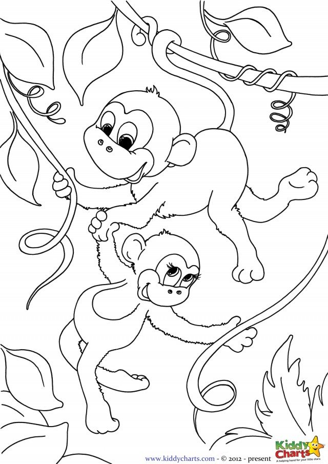 55 Monkey Coloring Pages Printable 53